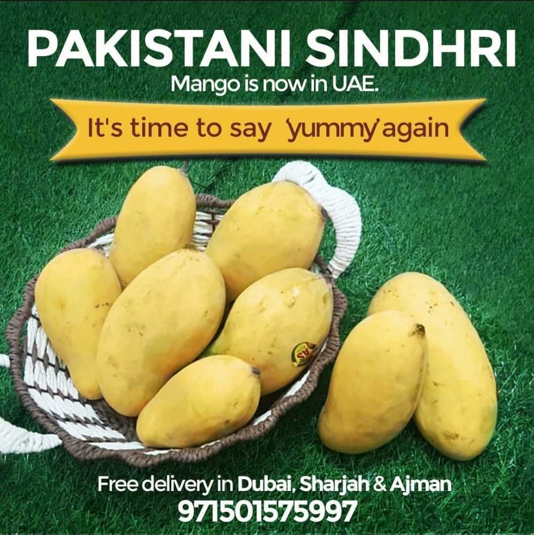 Sindhri