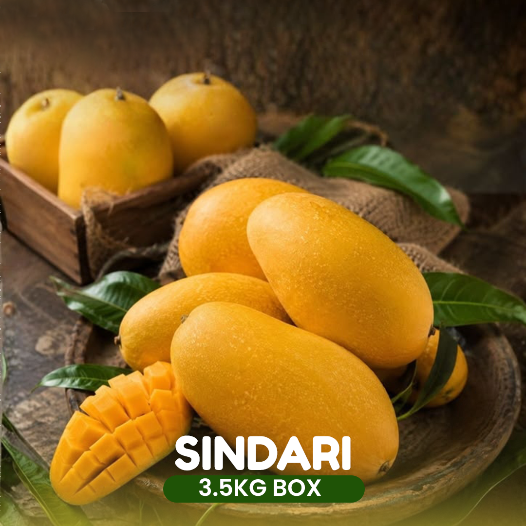 Sindhri